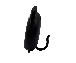 Image1063